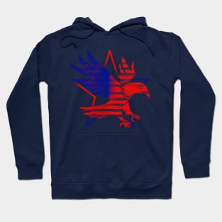 4th July Eagle Hoodie